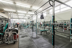 Products: JustWorkout Forrest Hill