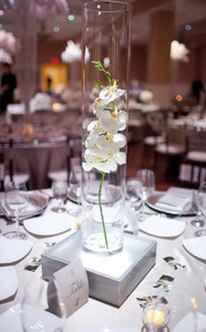 Products: Large Cylinder glass vase Gypsy & Co. EVENTS
