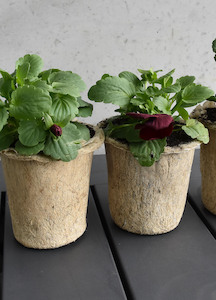 Products: Habbag™ Systems USA