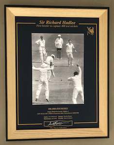 Framed 'The 400th Test Wicket' print