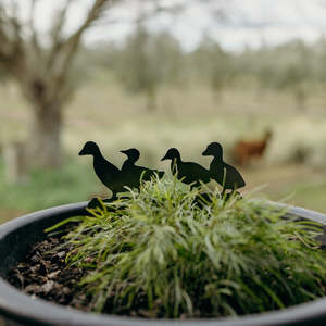 Rusty Deer Corten Steel Garden Art: The Duckling Quack Pack
