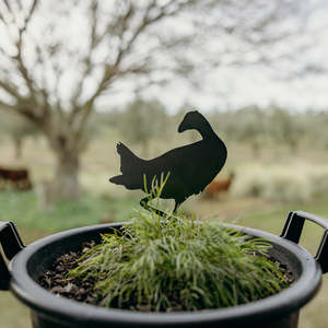 Rusty Deer Corten Steel Garden Art: Bruce the Striding Pukeko