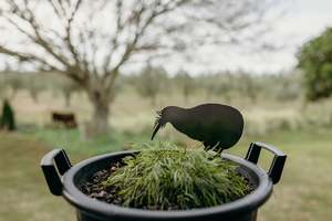 Rusty Deer Corten Steel Garden Art: Trevor the Nocturnal Kiwi