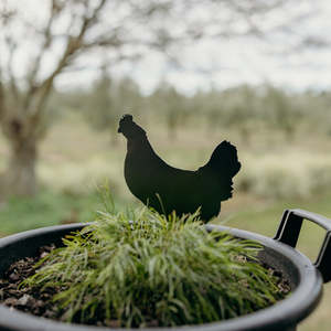 Rusty Deer Corten Steel Garden Art: Beryl, Mid-Scratch
