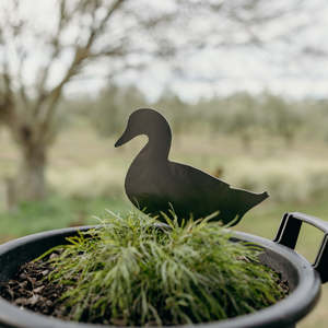 Rusty Deer Corten Steel Garden Art: Gary the Wandering Duck