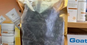 黑刺黄 30-40头左右 500g