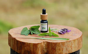 Nudi Point: Nudi Point - Buzz Off Essential Oil Insect Repellent