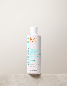 Products: Mositure Repair Conditioner - Hair At Boston