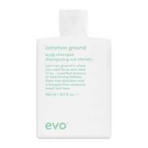 Shampoo Conditioner: Evo Common Ground Scalp Shampoo 300ml