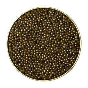 Products: Imperial Oscietra - 30g - CAVIARMAFIA CAVIAR