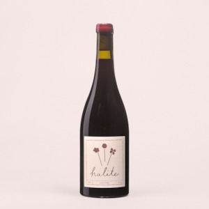 Wine: 2024 Sangiovese