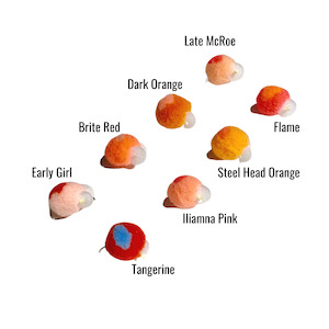 Pat Swift: Pat Swift Heave & Leave Glo Bugs #6