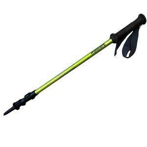 Savage: Masters Ranger Walking Pole