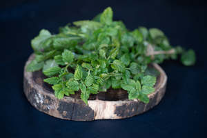 Featured: Herb - Lemonbalm