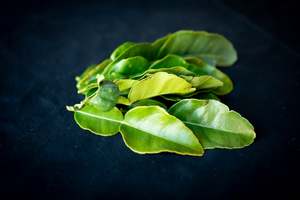 Featured: Makrut - (Kaffir) lime leaves - Fresh