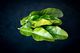 Makrut - (Kaffir) lime leaves - Fresh