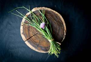 Chives