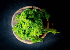 Herb - Parsley - Curled