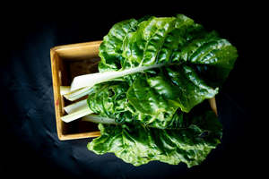 Silverbeet (Korare)