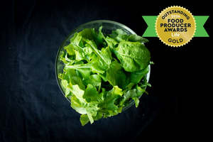 Featured: Rocket (Rētuhi)