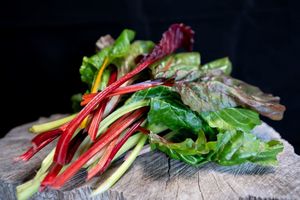Featured: Rainbow chard