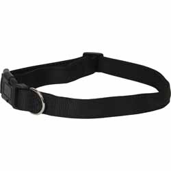 Chic Pets Adjustable Dog Collar H: 675mm, W: 36.8mm, D: 11.5mm Black – Hammer Hardware