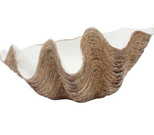 Clam Shell Large