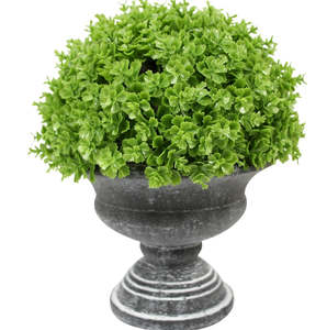 Faux Formal Fern Moss