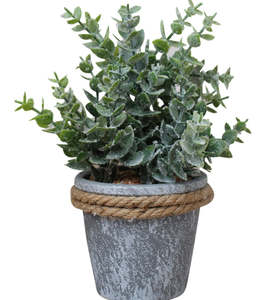Living: Gum Leaf Pot W/ Rope