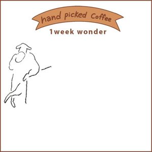 Coffee Bean - Great Coffee Roaster on Mt Albert, Auckland: 1 week wonder single origin light roast coffee