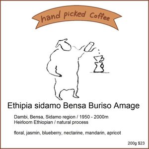 Coffee Bean - Great Coffee Roaster on Mt Albert, Auckland: Ethiopia Sidamo Bensa Buriso Amage