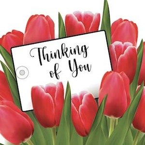 $2.50 Square Card: 20635