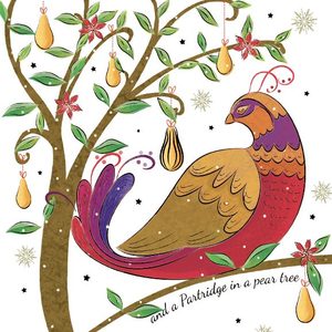 Seasonal Cards: Cc20227