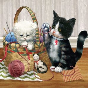 $2.50 Square Card: 20473