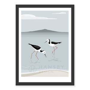 New Zealand Wildlife Fine Art Prints: Rangitoto Stilts