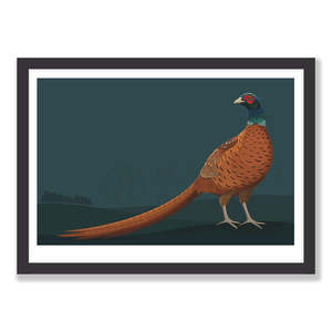 New Zealand Wildlife Fine Art Prints: Limited Edition Pheasant art print