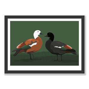 Limited Edition Paradise Shelduck art print