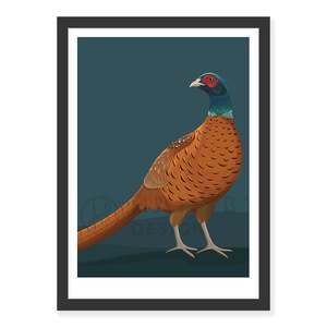 New Zealand Wildlife Fine Art Prints: Pheasant art print