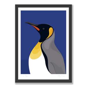 Art Print Collection: King Penguin portrait - blue