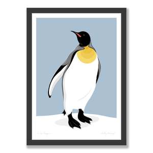 Art Print Collection: King Penguin