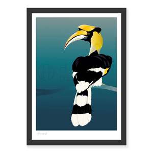 Global Wildlife: Hornbill art print