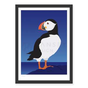Puffin