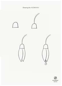 Drawing NZ Icons - Kowhai