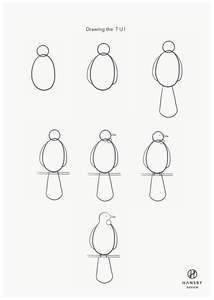 Free Printables: Drawing NZ Icons - Tui