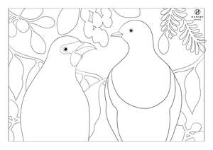 Free Printables: Kokako & Kereru Colouring printable