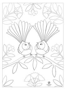 Free Printables: Fantail Colouring printable