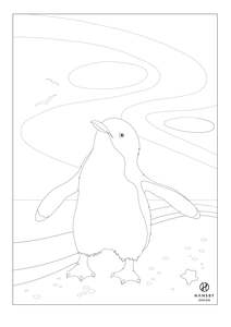 Free Printables: Blue Penguin Colouring printable