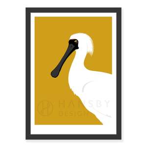 Spoonbill print
