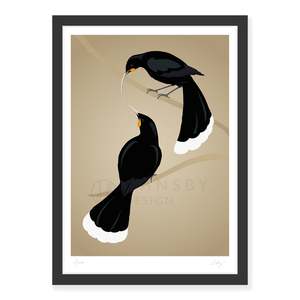 Huia pair art print