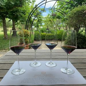 Flights for Wine Lovers